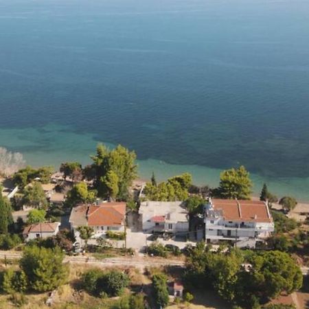 Sea Side Villa Alexandra Alissos Eksteriør billede