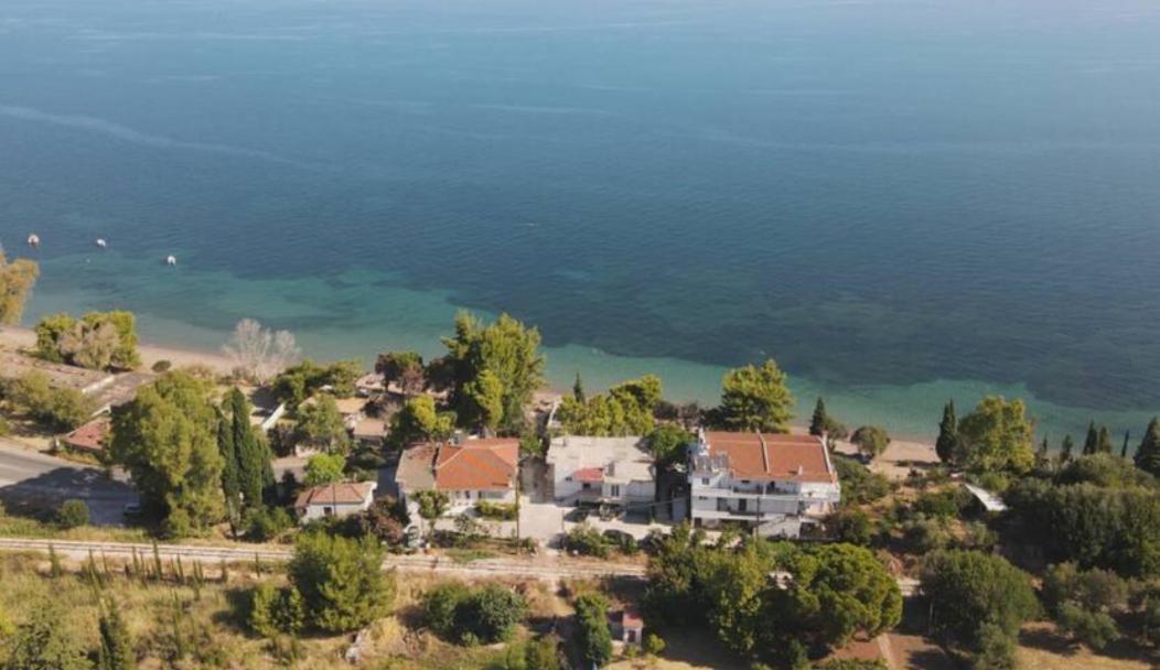 Sea Side Villa Alexandra Alissos Eksteriør billede